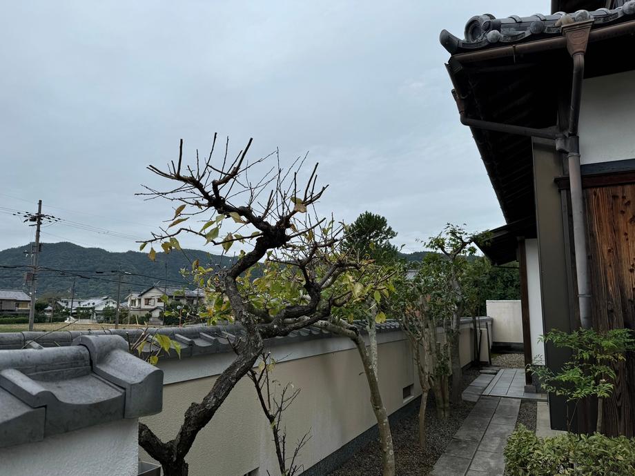 Additional image 18 of Kitasaga Kitanodancho, Ukyo Ward, Kyoto City, Kyoto Prefecture