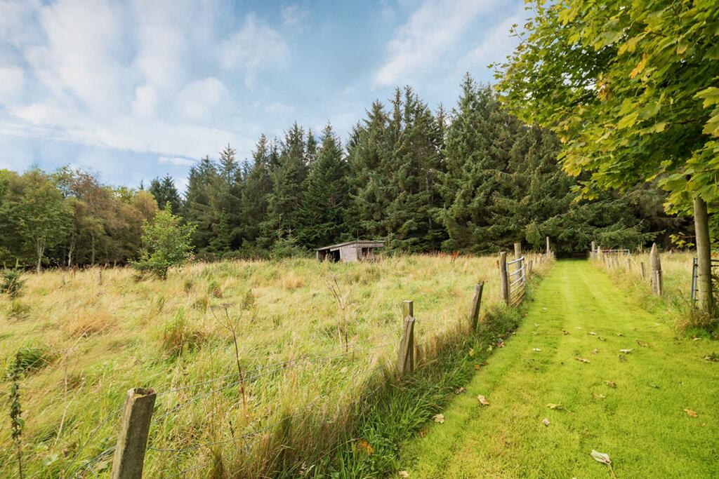 Additional image 39 of Bauds Pet Care and Garden Centre, Woodhead Bauds, Buckie, AB56 4DY