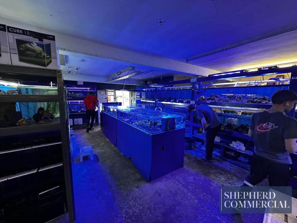 Additional image 6 of 1A Elliott Road, Birmingham, B29 6LA