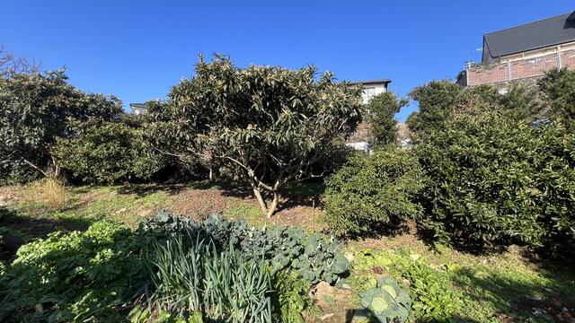 Additional image 28 of Western Town, Omura City, Nagasaki Prefecture