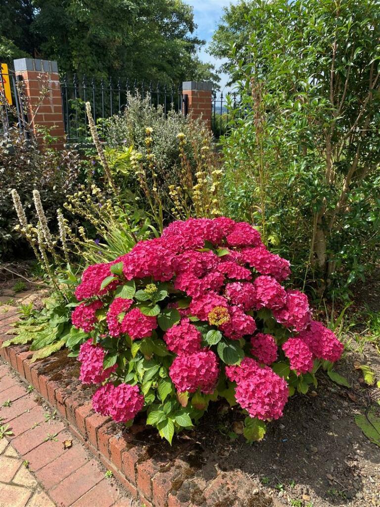 Additional image 23 of Fairmile Road, Halesowen