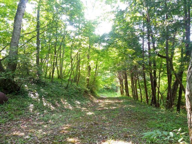 Additional image 4 of Miyagi Prefecture, Kurihara City, Ichisako, Katakozawa, Kamigonpei
