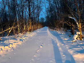 Additional image 4 of 0 Baker Road