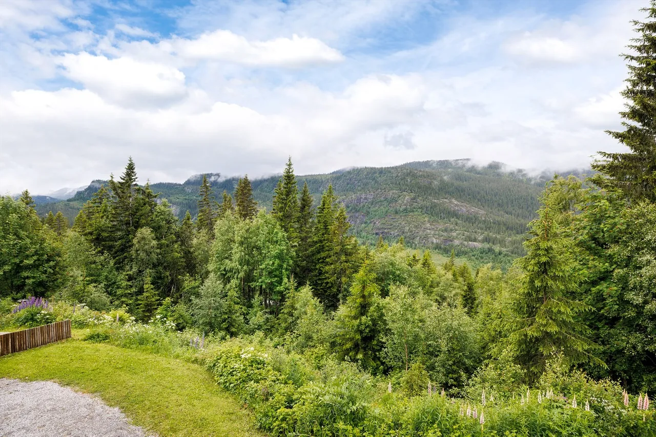 Additional image 3 of Steinsetveien 42, 3359 Eggedal