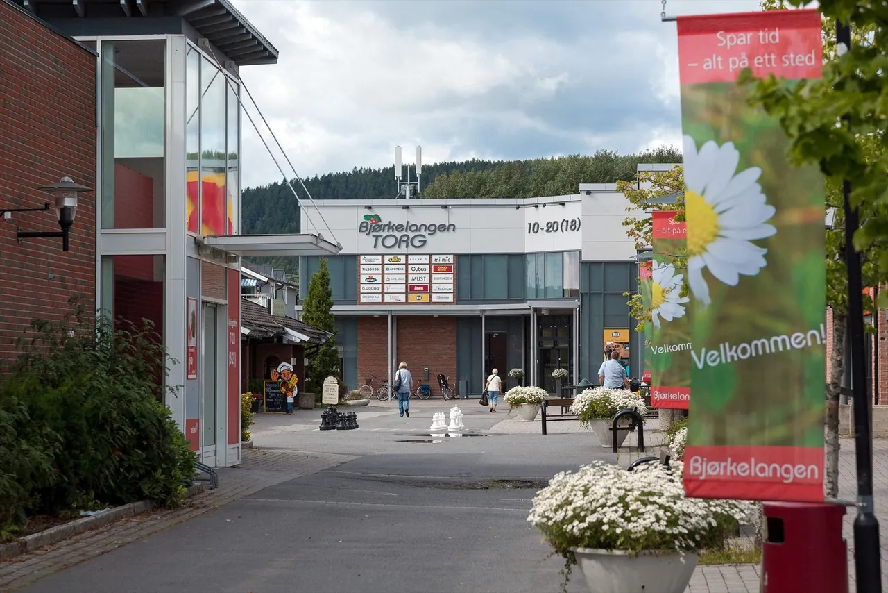 Additional image 3 of Bakkeveien 32, 1940 Bjørkelangen