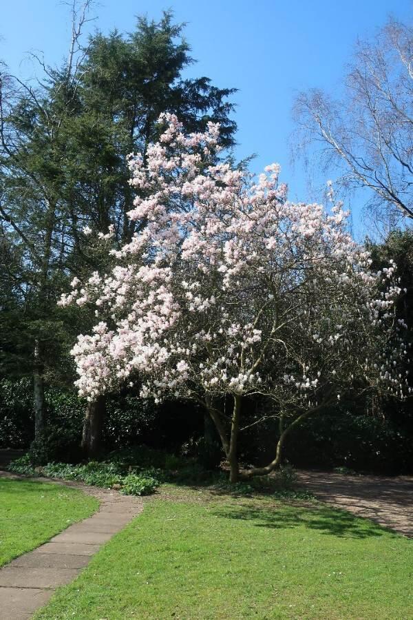 Additional image 17 of Walnut Lane, Finstall, Walnut Lane, Finstall, Near Bromsgrove, B60 3BU