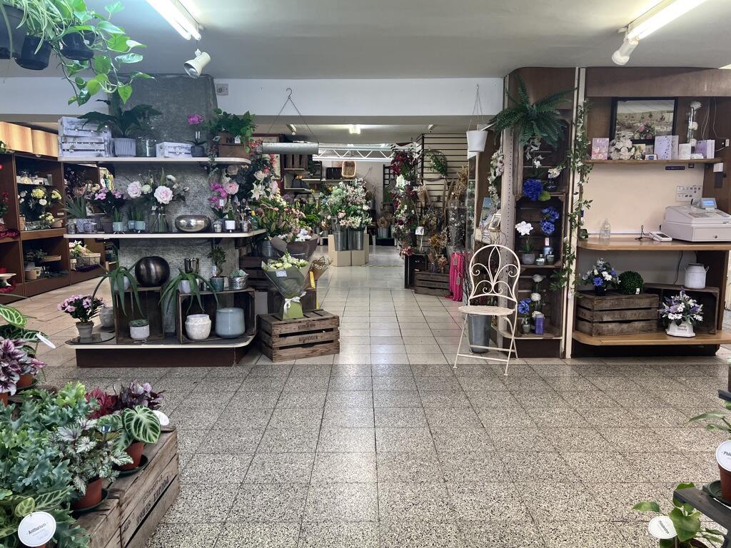 Additional image 2 of 116 High Street, Street, BA16 0EW