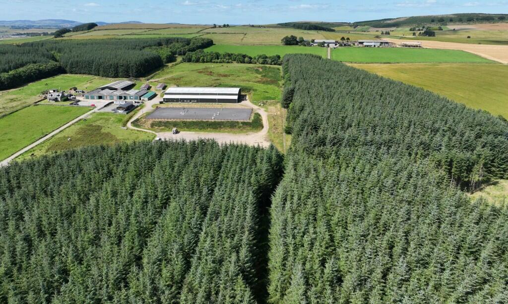 Additional image 12 of Ordiefauld Wood, Inverurie,  AB51