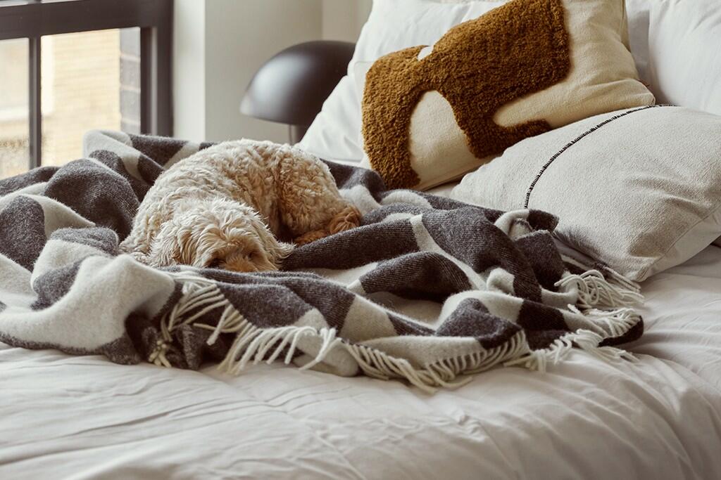 Additional image 6 of The Goodsyard, Birmingham, B18