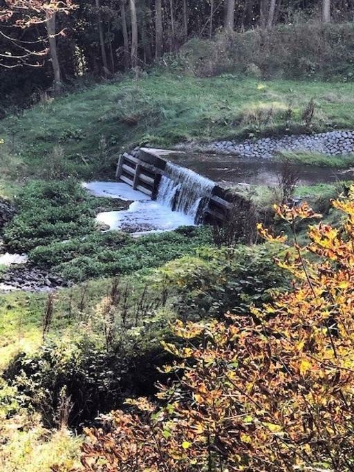 Additional image 7 of Suttons Drive, Great Barr, Walsall, B43