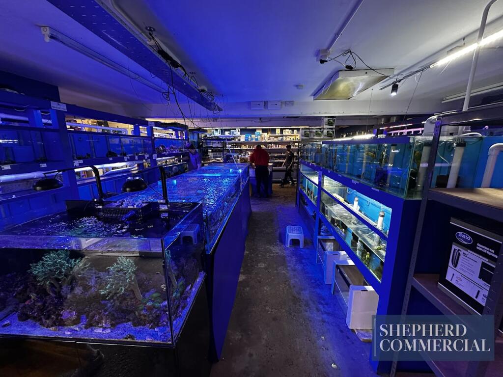 Additional image 9 of 1A Elliott Road, Birmingham, B29 6LA