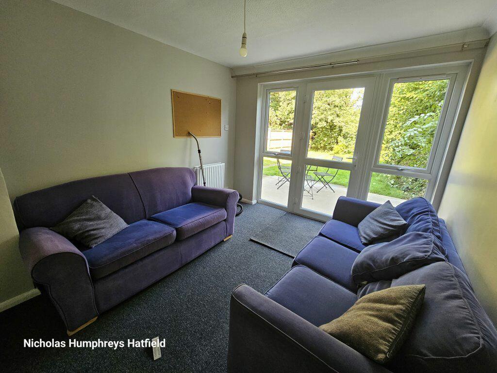 Additional image 5 of Cheviots