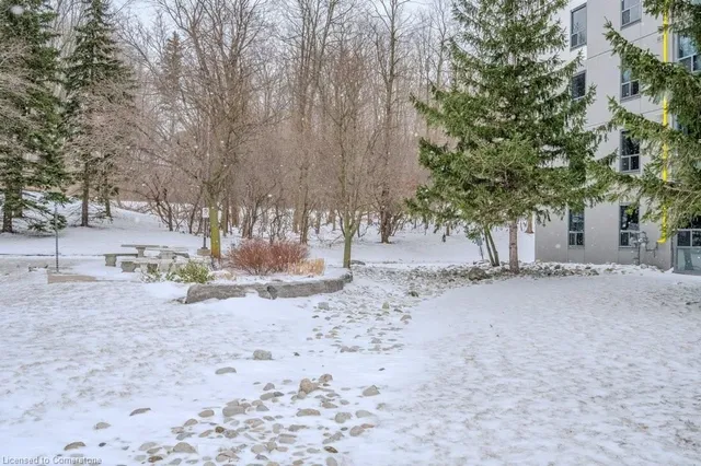 Additional image 5 of 55 Green Valley Dr Unit 1604