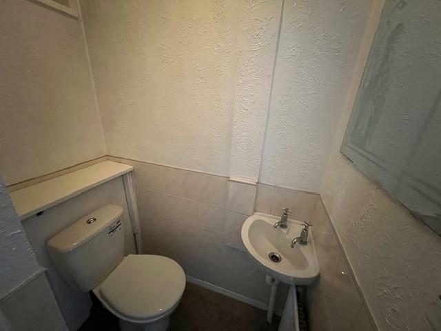 Additional image 6 of Nemesia, Tamworth