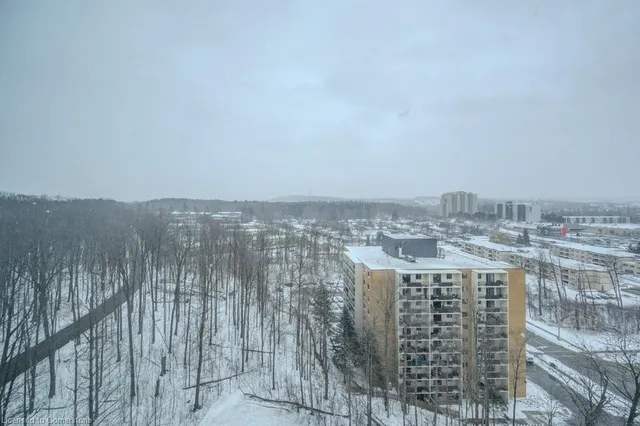 Additional image 19 of 55 Green Valley Dr Unit 1604