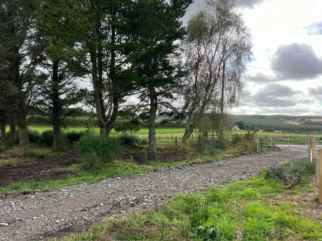 Additional image 5 of Drybridge, Buckie, AB56