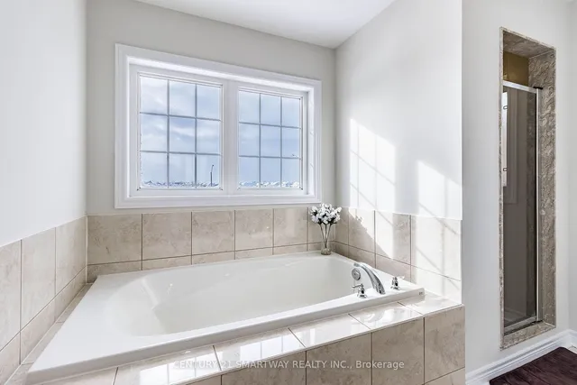 Additional image 24 of 28 Speedwell St