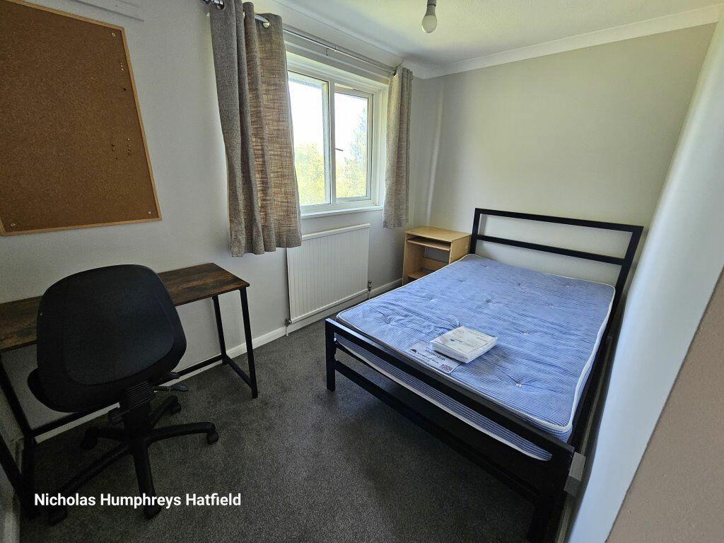 Additional image 10 of Cheviots