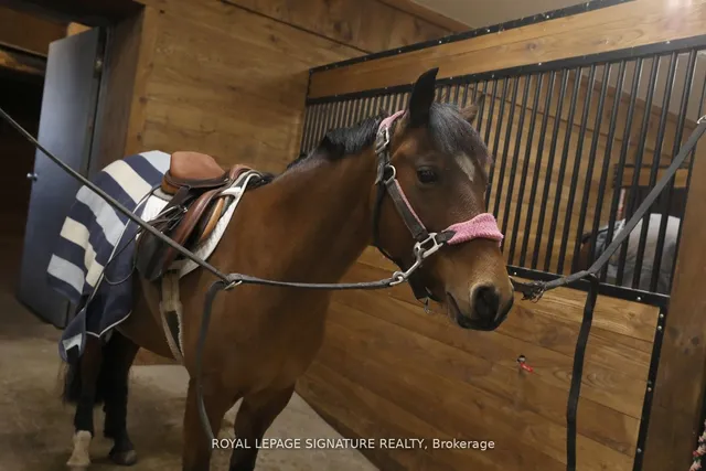 Additional image 28 of 1694 Centre Rd