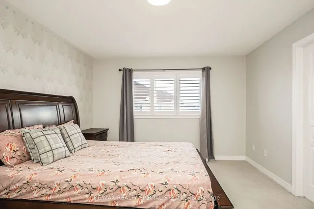 Additional image 25 of 40 Begonia Cres