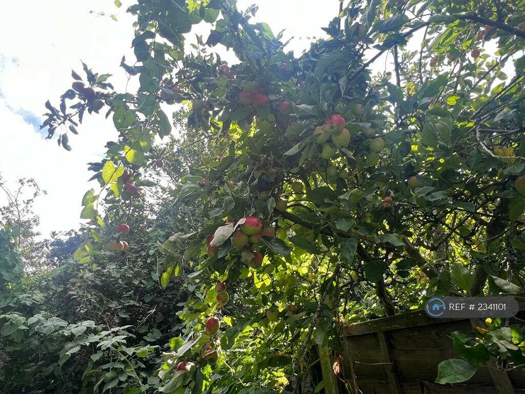 Additional image 32 of Fleming Road, Quinton, Birmingham, B32