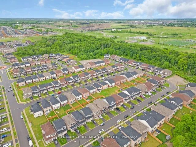 Additional image 40 of 157 CACTUS Cres