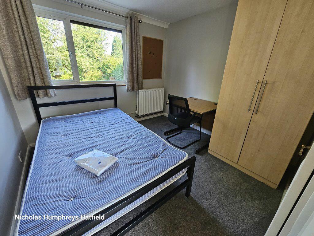 Additional image 6 of Cheviots