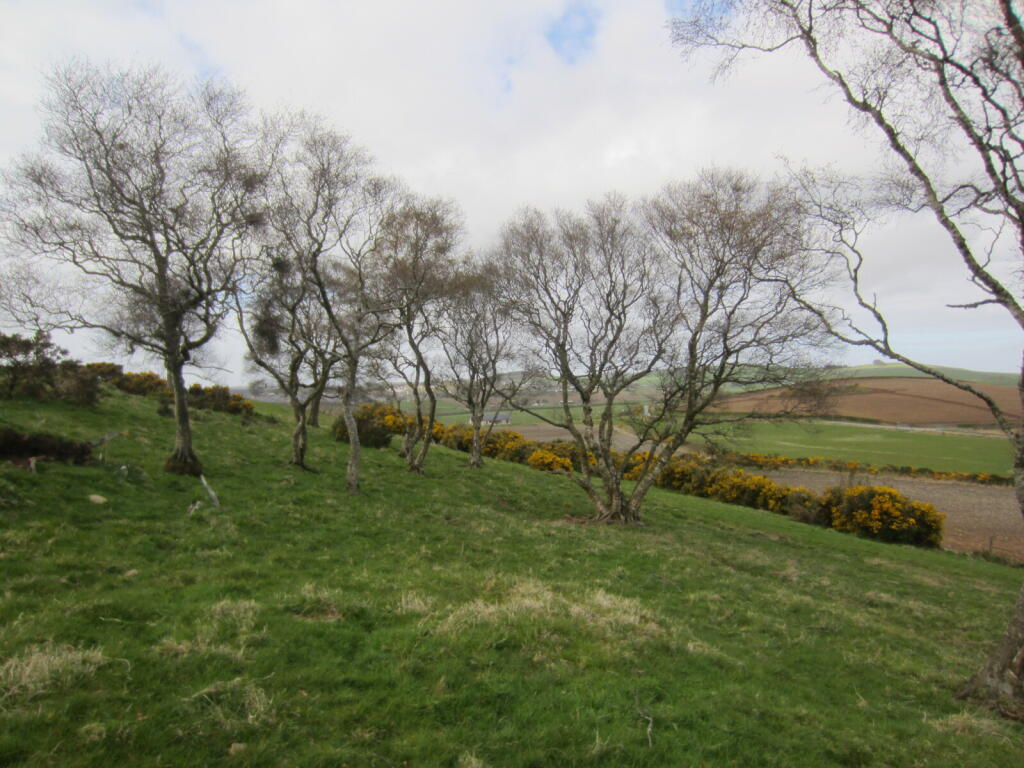 Additional image 4 of Land At Knockorth, Aberchirder, Huntly, Aberdeenshire, AB53