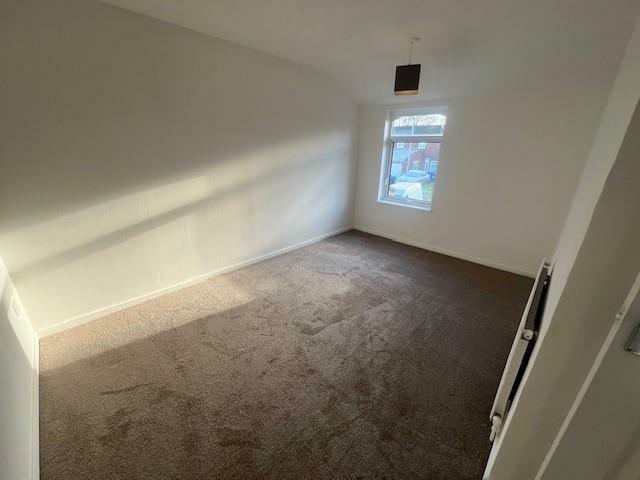 Additional image 9 of Nemesia, Tamworth