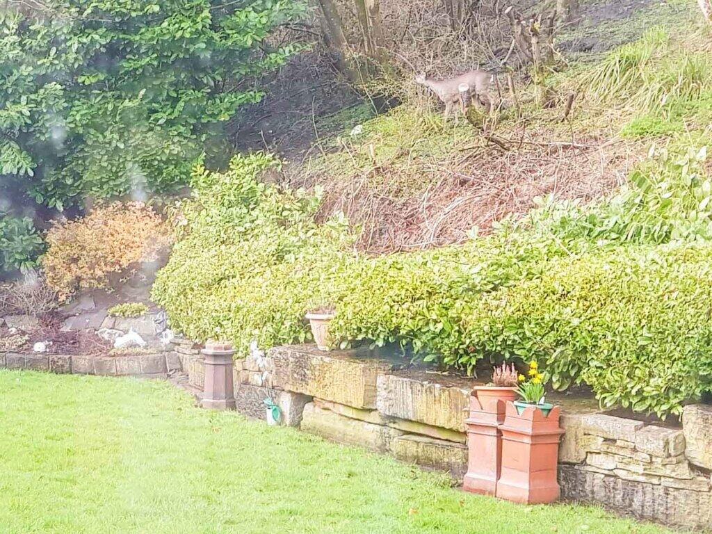 Additional image 76 of Wicken Grove, Barley Holme Road, Crawshawbooth