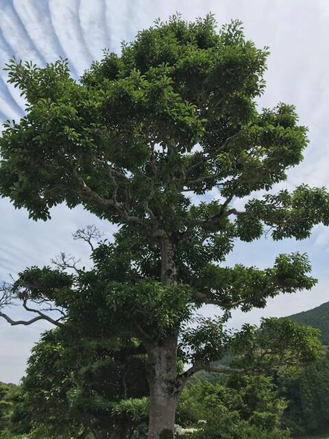 Additional image 18 of Hasegawacho, Isahaya City, Nagasaki Prefecture