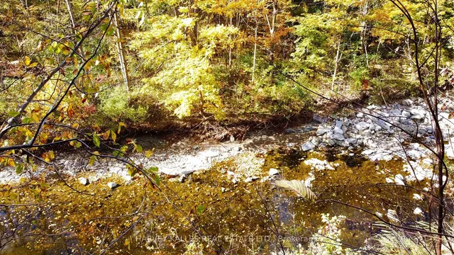 Additional image 28 of 24 Beaucourt Rd