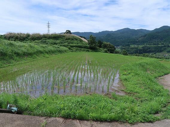 Additional image 8 of Shonaicho Nishi, Yufu City, Oita Prefecture