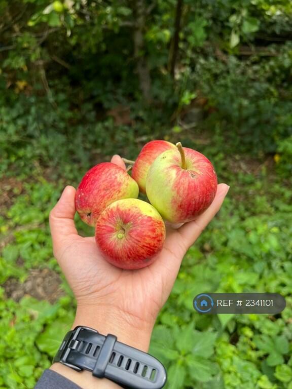 Additional image 33 of Fleming Road, Quinton, Birmingham, B32