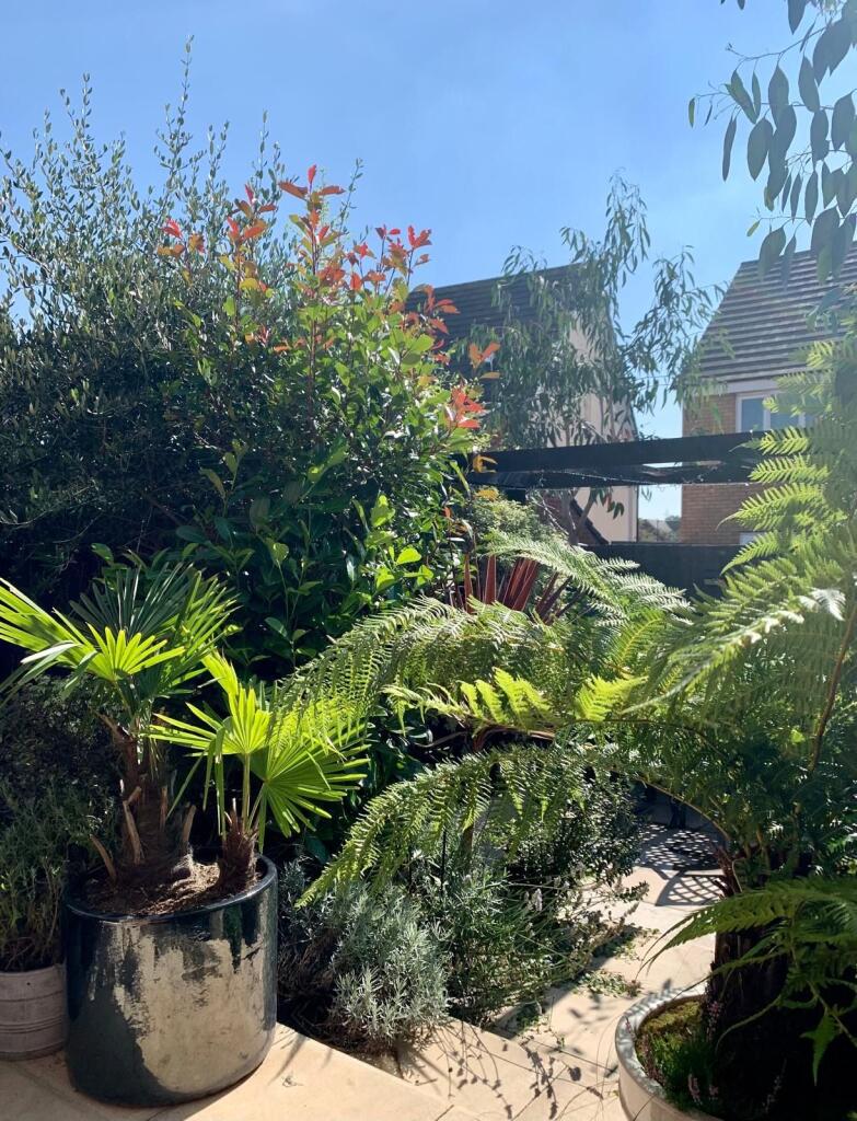 Additional image 21 of Berry Maud Lane, Shirley