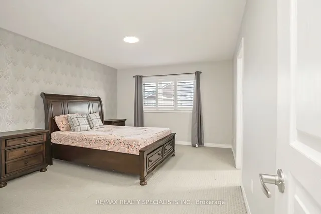 Additional image 21 of 40 Begonia Cres