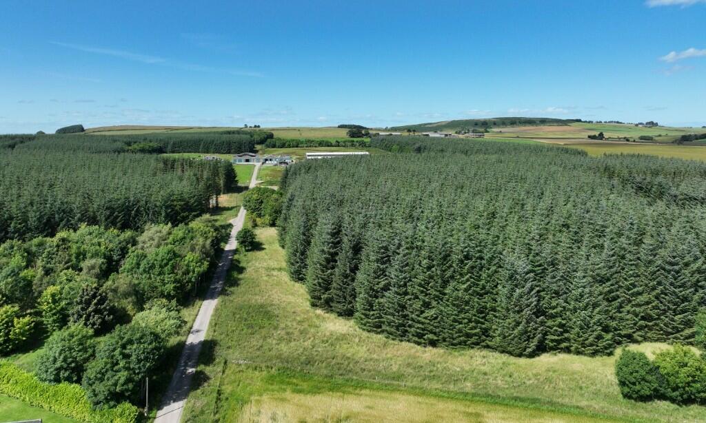 Additional image 17 of Ordiefauld Wood, Inverurie,  AB51