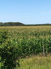 Additional image 5 of 44048 Dover Road