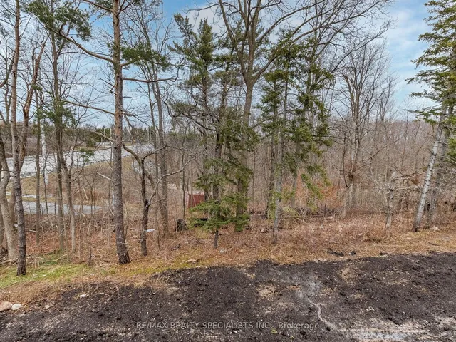 Additional image 20 of 5 Folcroft St