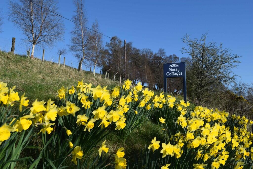 Additional image 4 of Moray Cottages and Auchanhandoch Farmhouse, Dufftown