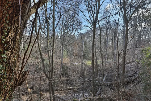 Additional image 35 of 225 Roslin Ave