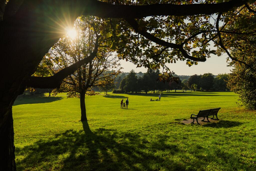 Additional image 13 of Clermont Terrace, Brighton