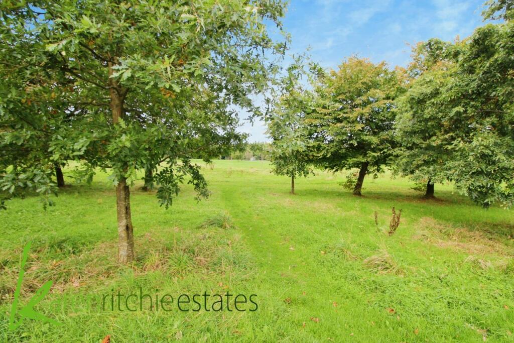 Additional image 22 of Moss Lane, Smithills