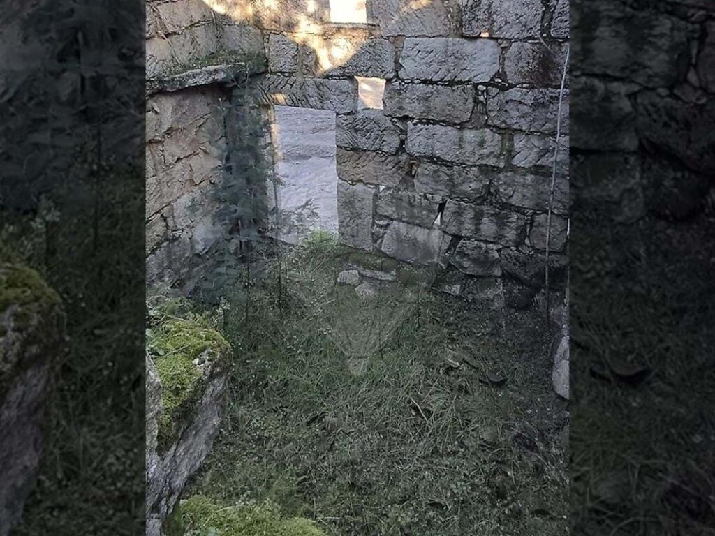 Additional image 2 of Beira Litoral, Oliveira do Hospital, Portugal