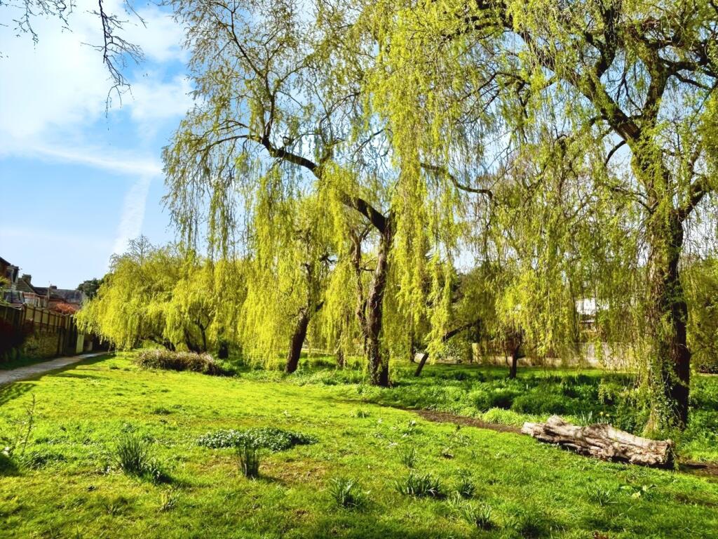 Additional image 18 of Coy Pond Road, COY POND, BH12