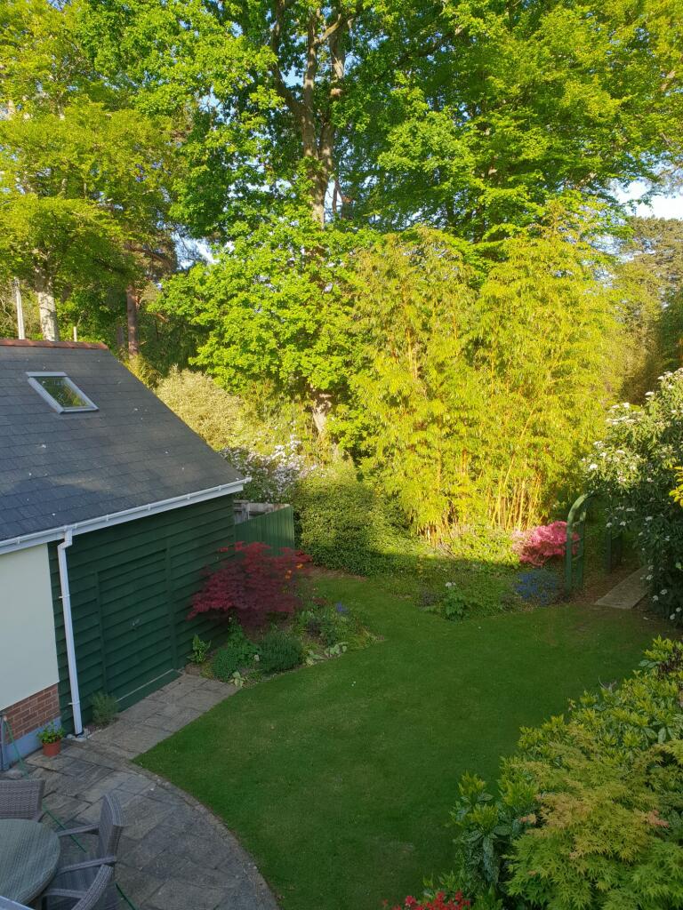 Additional image 42 of Burley Road, Christchurch, BH23