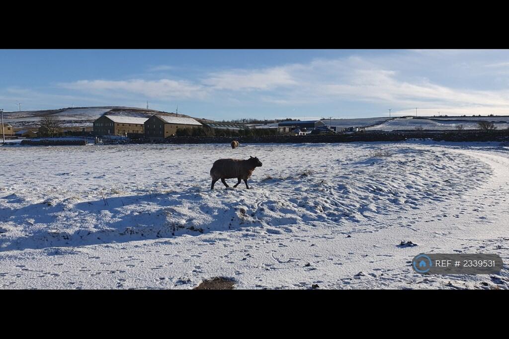 Additional image 6 of Country View, Denholme, Bradford, BD13