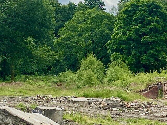 Additional image 7 of Lumb Cottages, Ramsbottom, Bury, Lancashire, BL0