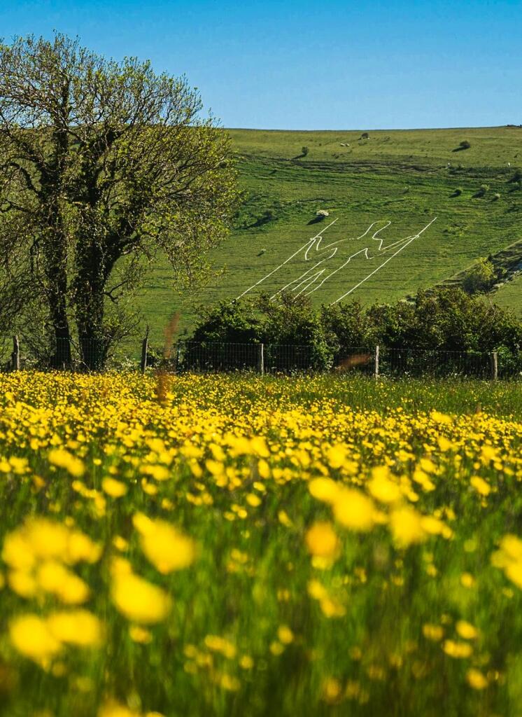 Additional image 33 of Little Paddocks, Milton Street, Nr Alfriston East Sussex, BN26