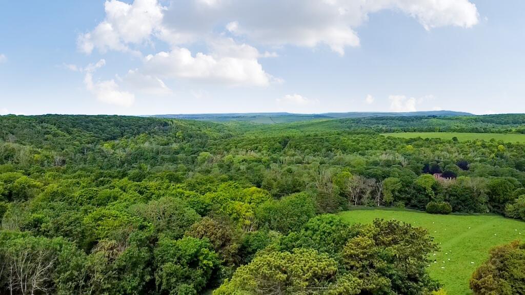 Additional image 33 of Taperfield, Jevington Road, Friston, Eastbourne